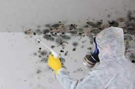 Biohazard Mold Removal in Lincoln Beach, OR